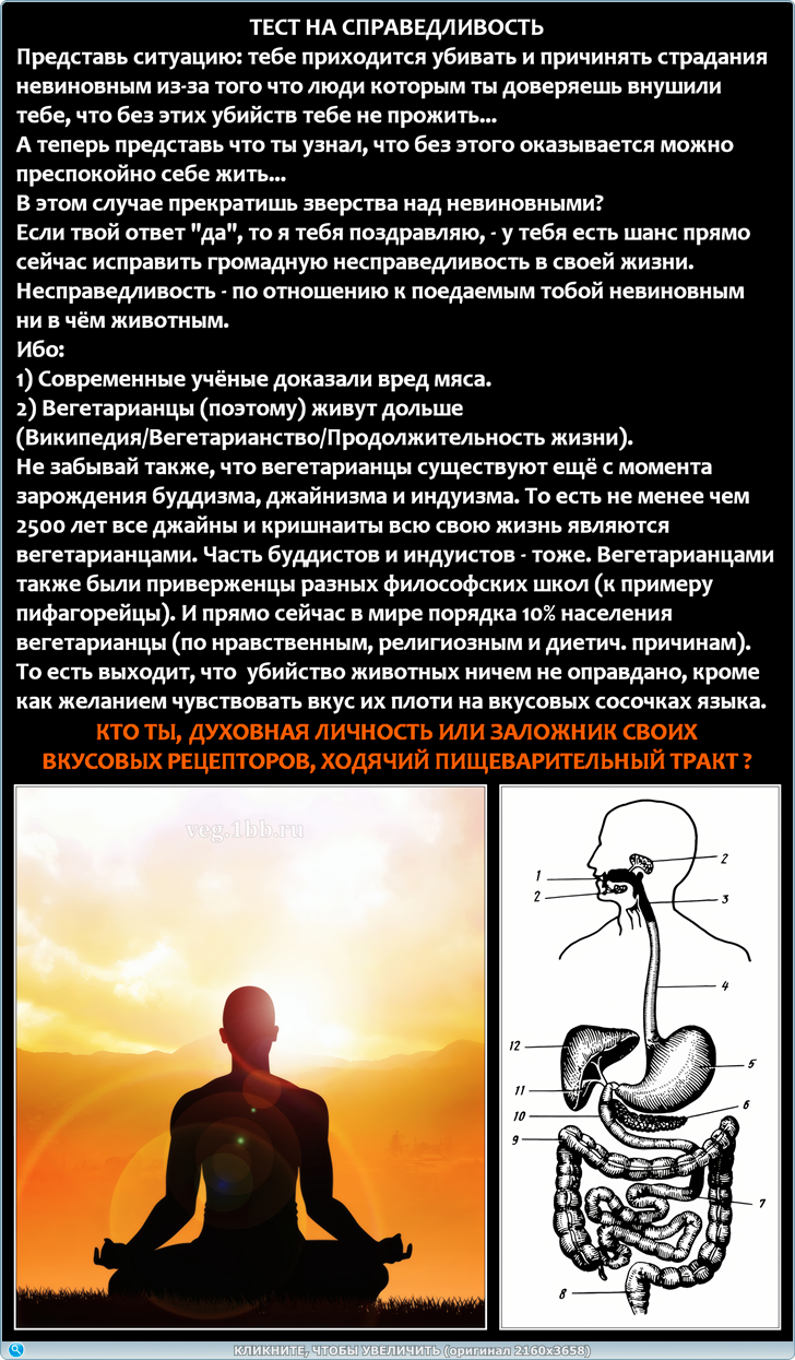 https://s6.iimage.su/s/02/gzFxxCyxZAqOSb4c28oDDnopzm6DAlWjobyhyTlKr.png