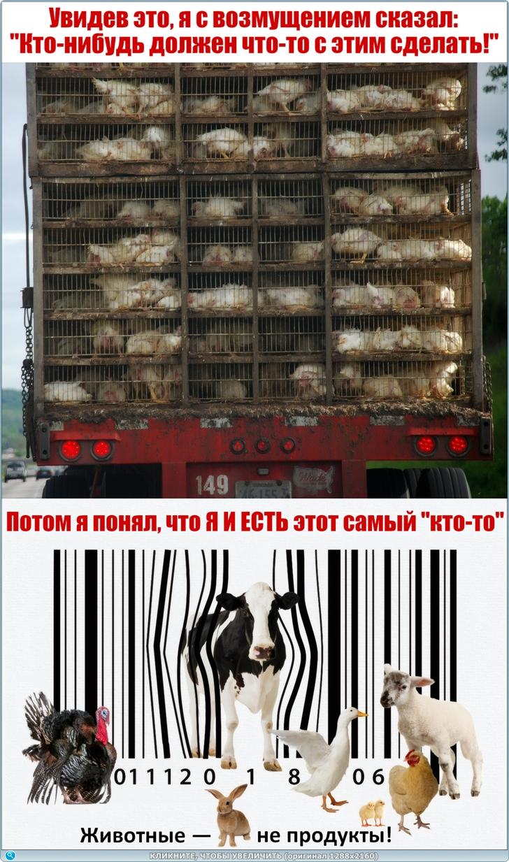 https://s6.iimage.su/s/03/ggefUKZxYYegw59h8nj9t72Cv81p9pcJkZ5N0PhAX.jpg