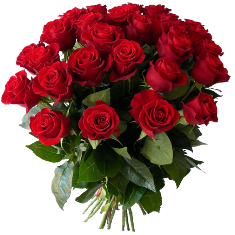 https://s6.iimage.su/s/09/gHYg3NqxutmMVz08Qo87tC2IbSzQhB8yLJ5i6FwhE.png
