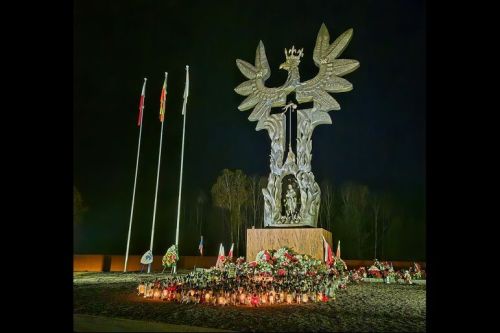 https://s6.iimage.su/s/16/th_gm5P2PDx44y5eI7lrOzXNTZQn1KTVgEM0zFCImaK3.jpg