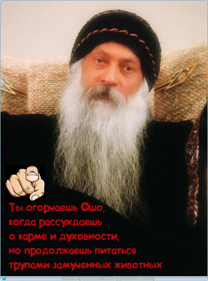 https://s6.iimage.su/s/18/gCB8mGUx23regwpOmCNnFH2nR4hfe10shHraszsGl.jpg