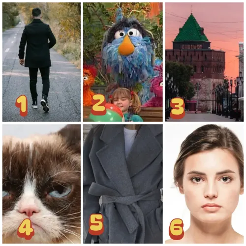 th_gRCNe2vxkZ85SinFIHbRBk37L5f347Xy1VODdtuqy.webp