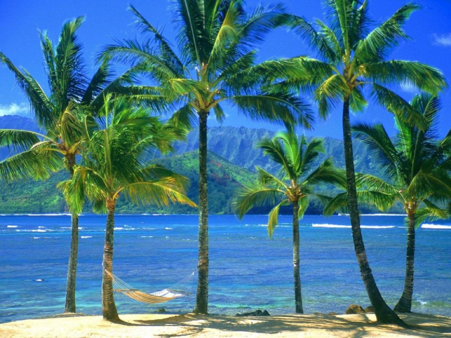 https://s6.iimage.su/s/21/gK4kiJtxSES0Ss3jUfm4IunG2aX5zrmd6ULi20mLf.jpg