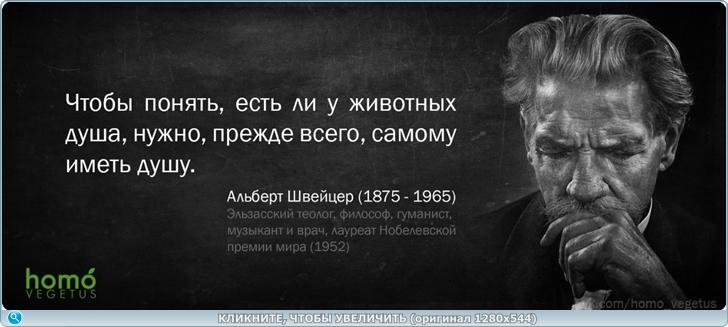 https://s6.iimage.su/s/28/gG5MaLMx6izRzknY2rzF6wCubdLwFE2UA0v4HYeGP.jpg