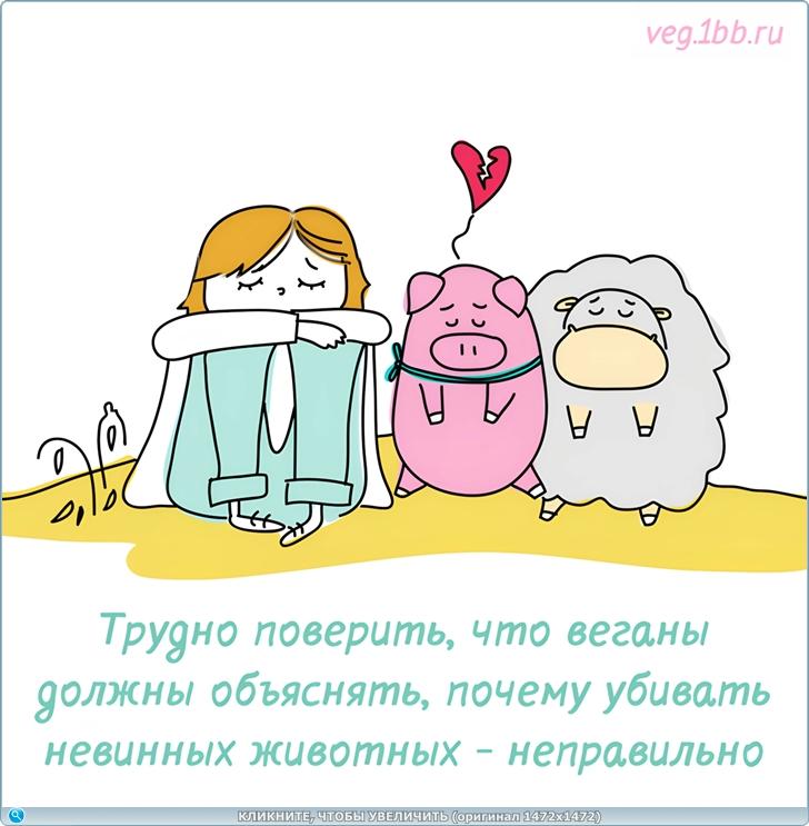 https://s6.iimage.su/s/28/ghXuUz9xFRc822E8RcYrjaZzsa8Ot2zgolR2PHYbW.jpg