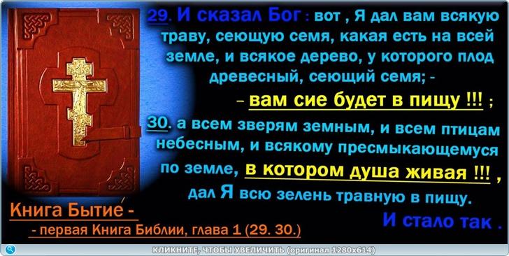 https://s6.iimage.su/s/28/goe8ezcxVV8vwtJGeTLZfDc4cfDmnD51rYGWzjqYd.jpg
