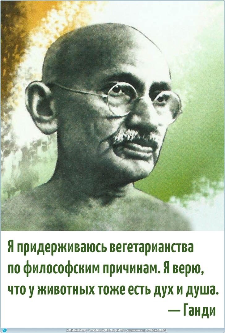 https://s6.iimage.su/s/28/gwJjL7Kx6VNEabbUB6VFvJEHGoAT2CajH2c5MbuMa.jpg