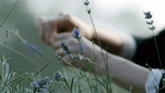 https://s6.iimage.su/s/31/g0dlcDdxDvLCuqOipUMFyzbKEJ6tKC5KEf3azbf77.gif